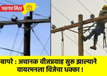 बापरे : अचानक वीजप्रवाह सुरू झाल्याने वायरमनला विजेचा धक्का !