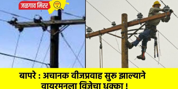 बापरे : अचानक वीजप्रवाह सुरू झाल्याने वायरमनला विजेचा धक्का !