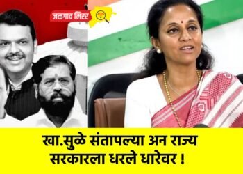 ख.सुळे संतापल्या अन राज्य सरकारला धरले धारेवर !