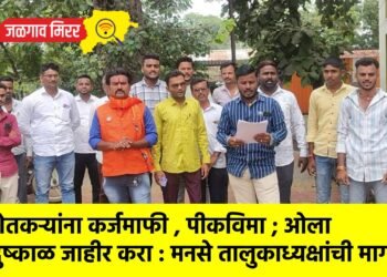 शेतकऱ्यांना कर्जमाफी , पीकविमा ; ओला दुष्काळ जाहीर करा : मनसे तालुकाध्यक्षांची मागणी !