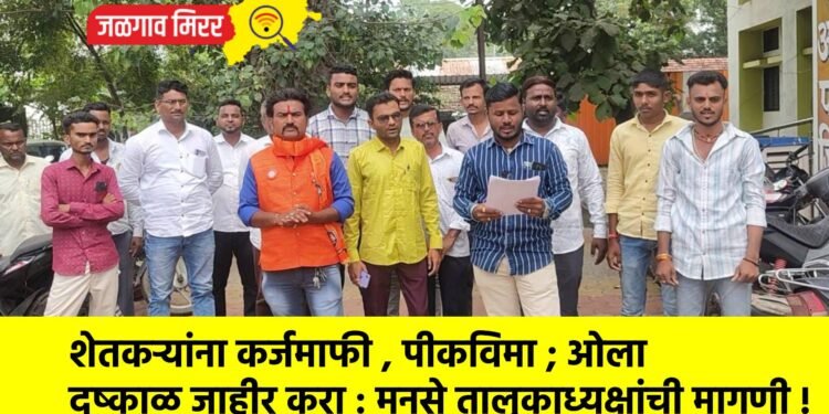 शेतकऱ्यांना कर्जमाफी , पीकविमा ; ओला दुष्काळ जाहीर करा : मनसे तालुकाध्यक्षांची मागणी !