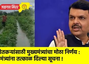 शेतकऱ्यांसाठी मुख्यमंत्र्यांचा मोठा निर्णय : मंत्र्यांना तत्काळ दिल्या सूचना !
