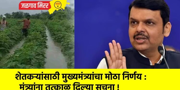 शेतकऱ्यांसाठी मुख्यमंत्र्यांचा मोठा निर्णय : मंत्र्यांना तत्काळ दिल्या सूचना !