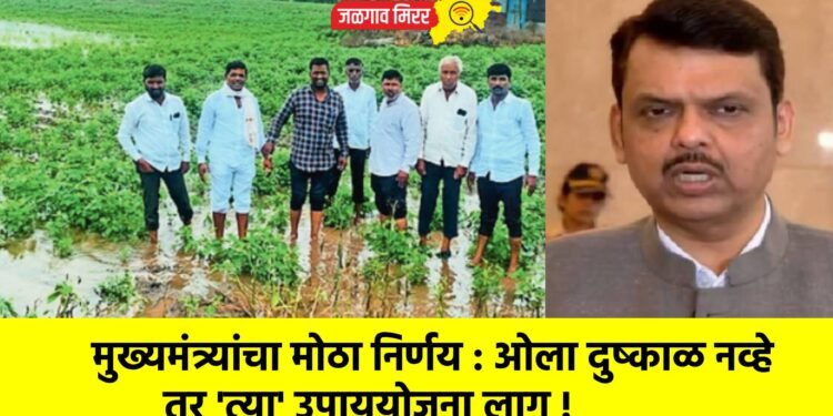 मुख्यमंत्र्यांचा मोठा निर्णय : ओला दुष्काळ नव्हे तर ‘त्या’ उपाययोजना लागू !
