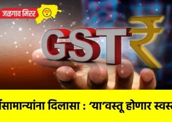 सर्वसामान्यांना दिलासा : ‘या’वस्तू होणार स्वस्त !