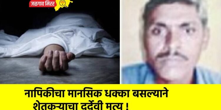नापिकीचा मानसिक धक्का बसल्याने शेतकऱ्याचा दुर्देवी मृत्यू !