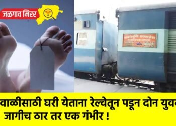 दिवाळीसाठी घरी येताना रेल्वेतून पडून दोन युवक जागीच ठार तर एक गंभीर !