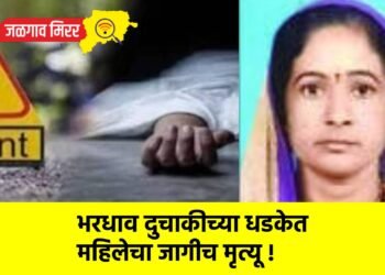 भरधाव दुचाकीच्या धडकेत महिलेचा जागीच मृत्यू !