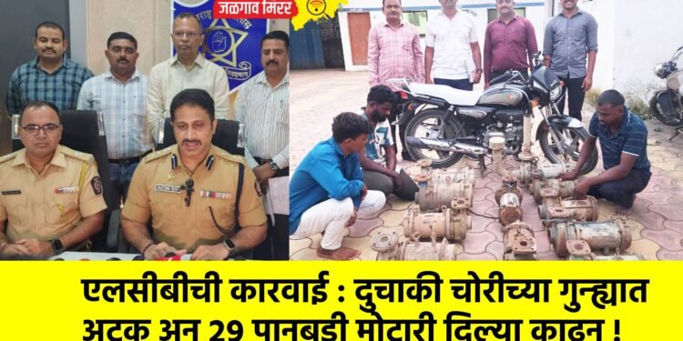एलसीबीची कारवाई : दुचाकी चोरीच्या गुन्ह्यात अटक अन् २९ पानबुडी मोटारी दिल्या काढून !