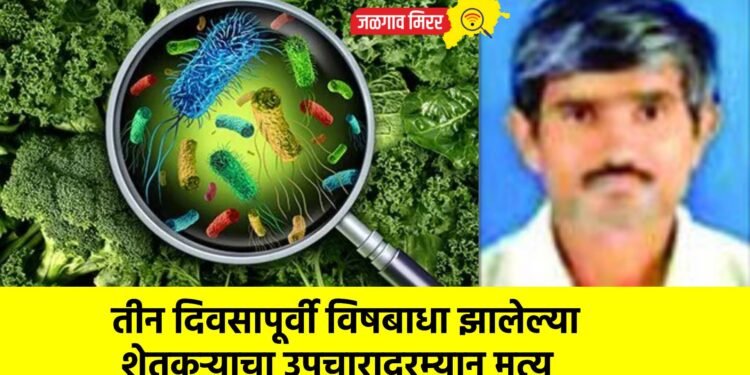 तीन दिवसापूर्वी विषबाधा झालेल्या शेतकऱ्याचा उपचारादरम्यान मृत्यू