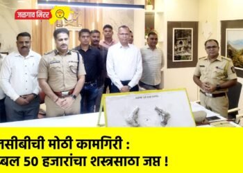 एलसीबीची मोठी कामगिरी : तब्बल ५० हजारांचा शस्त्रसाठा जप्त !