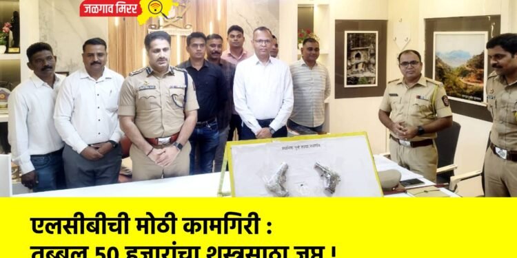 एलसीबीची मोठी कामगिरी : तब्बल ५० हजारांचा शस्त्रसाठा जप्त !