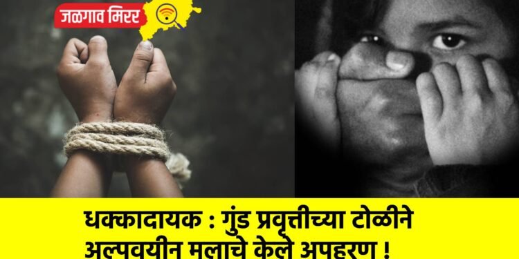 धक्कादायक : गुंड प्रवृत्तीच्या टोळीने अल्पवयीन मुलाचे केले अपहरण !