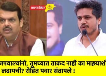 भाजपवाल्यांनो, तुमच्यात ताकद नाही का माझ्याशी लढायची? रोहित पवार संतापले !