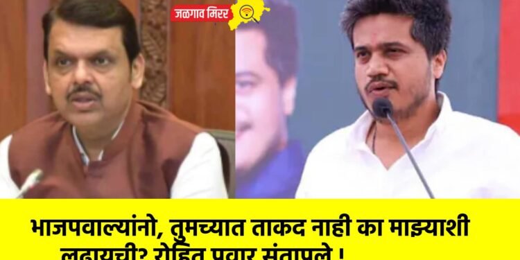 भाजपवाल्यांनो, तुमच्यात ताकद नाही का माझ्याशी लढायची? रोहित पवार संतापले !