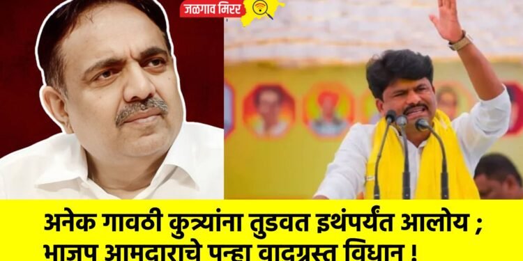 अनेक गावठी कुत्र्यांना तुडवत इथंपर्यंत आलोय ; भाजप आमदाराचे पुन्हा वादग्रस्त विधान !