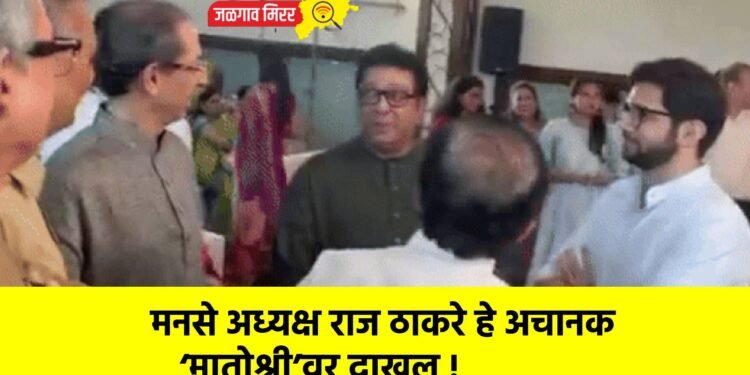 मनसे अध्यक्ष राज ठाकरे हे अचानक ‘मातोश्री’वर दाखल !