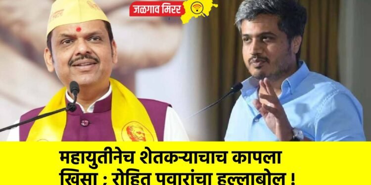 महायुतीनेच शेतकऱ्याचाच कापला खिसा ; रोहित पवारांचा हल्लाबोल !