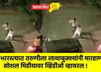 भररस्त्यात तरुणीला लाथाबुक्क्यांनी मारहाण ; सोशल मिडीयावर व्हिडीओ व्हायरल !