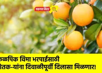फळपिक विमा भरपाईसाठी शेतक-यांना दिवाळीपूर्वी दिलासा मिळणार!