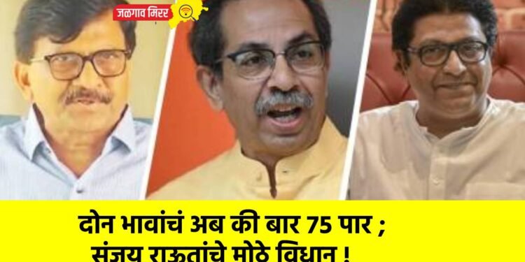 दोन भावांचं अब की बार ७५ पार ; संजय राऊतांचे मोठे विधान !