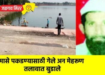 मासे पकडण्यासाठी गेले अन मेहरूण तलावात बुडाले