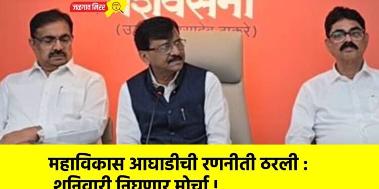 महाविकास आघाडीची रणनीती ठरली : शनिवारी निघणार मोर्चा !