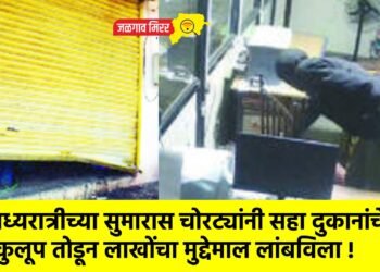 मध्यरात्रीच्या सुमारास चोरट्यांनी सहा दुकानांचे कुलूप तोडून लाखोंचा मुद्देमाल लांबविला !