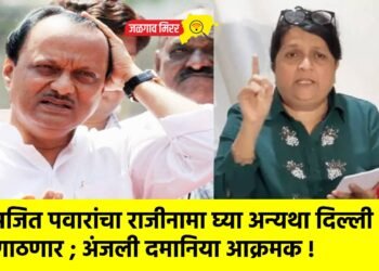 अजित पवारांचा राजीनामा घ्या अन्यथा दिल्ली गाठणार ; अंजली दमानिया आक्रमक !