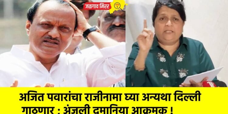 अजित पवारांचा राजीनामा घ्या अन्यथा दिल्ली गाठणार ; अंजली दमानिया आक्रमक !