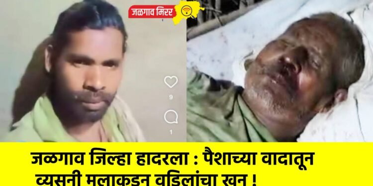 जळगाव जिल्हा हादरला : पैशाच्या वादातून व्यसनी मुलाकडून वडिलांचा खून !