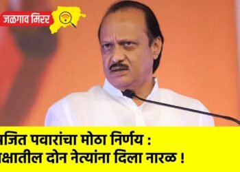 अजित पवारांचा मोठा निर्णय : पक्षातील दोन नेत्यांना दिला नारळ !