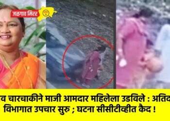 भरधाव चारचाकीने माजी आमदार महिलेला उडविले : अतिदक्षता विभागात उपचार सुरु ; घटना सीसीटीव्हीत कैद !