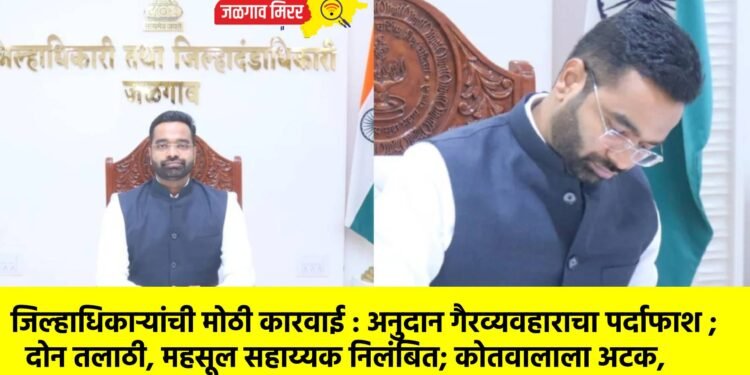 जिल्हाधिकाऱ्यांची मोठी कारवाई : अनुदान गैरव्यवहाराचा पर्दाफाश ; दोन तलाठी, महसूल सहाय्यक निलंबित; कोतवालाला अटक,