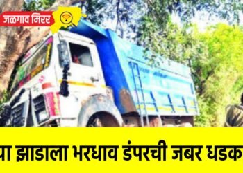 उभ्या झाडाला भरधाव डंपरची जबर धडक !