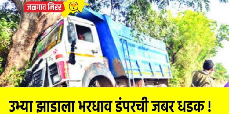 उभ्या झाडाला भरधाव डंपरची जबर धडक !