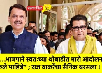 “…भाजपाने स्वतःच्या थोबाडीत मारो आंदोलन केले पाहिजे” ; राज ठाकरेंचा सैनिक बरसला !