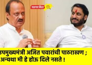 उपमुख्यमंत्री अजित पवारांची पाठराखण ; अन्यथा मी हे होऊ दिले नसते !