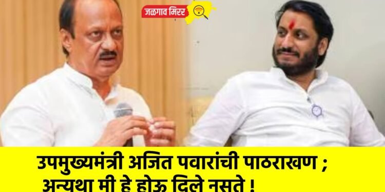 उपमुख्यमंत्री अजित पवारांची पाठराखण ; अन्यथा मी हे होऊ दिले नसते !