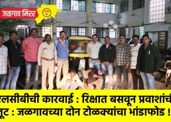 एलसीबीची कारवाई : रिक्षात बसवून प्रवाशांची लूट : जळगावच्या दोन टोळक्यांचा भांडाफोड !