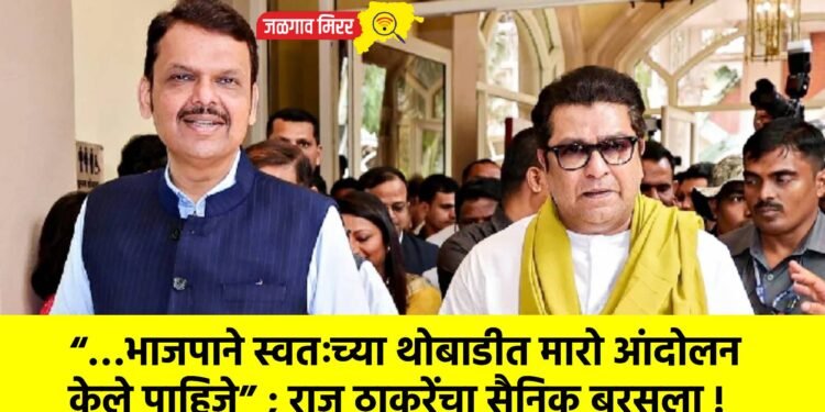 “…भाजपाने स्वतःच्या थोबाडीत मारो आंदोलन केले पाहिजे” ; राज ठाकरेंचा सैनिक बरसला !