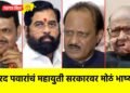 शरद पवारांचं महायुती सरकारवर मोठं भाष्य !