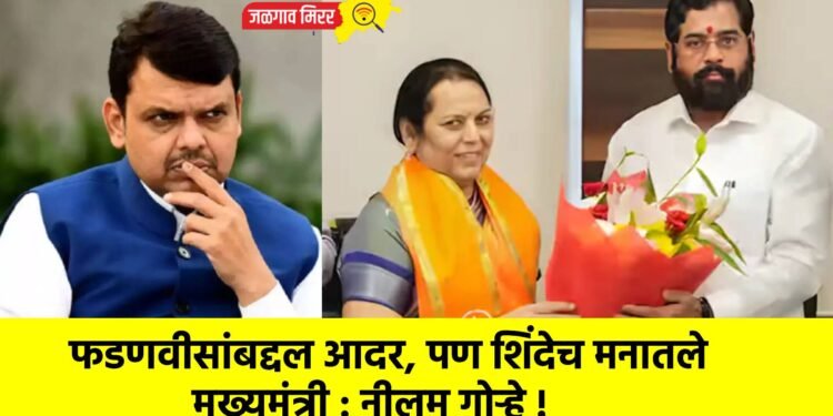 फडणवीसांबद्दल आदर, पण शिंदेच मनातले मुख्यमंत्री : नीलम गोऱ्हे !