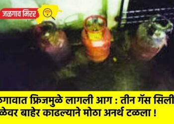 जळगावात फ्रिजमुळे लागली आग : तीन गॅस सिलींडर वेळेवर बाहेर काढल्याने मोठा अनर्थ टळला !