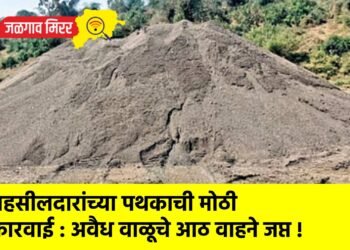 तहसीलदारांच्या पथकाची मोठी कारवाई : अवैध वाळूचे आठ वाहने जप्त !