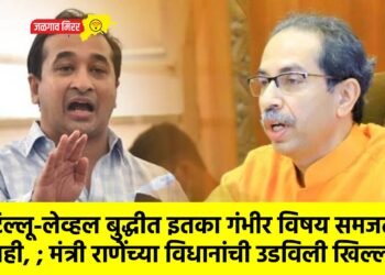 टिल्लू-लेव्हल बुद्धीत इतका गंभीर विषय समजत नाही, ; मंत्री राणेंच्या विधानांची उडविली खिल्ली !