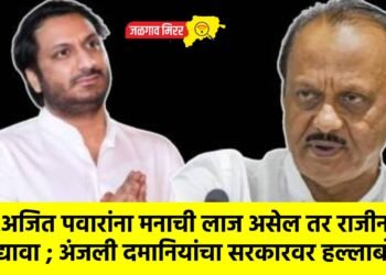 ..अजित पवारांना मनाची लाज असेल तर राजीनामा द्यावा ; अंजली दमानियांचा सरकारवर हल्लाबोल !