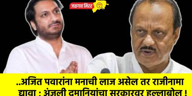 ..अजित पवारांना मनाची लाज असेल तर राजीनामा द्यावा ; अंजली दमानियांचा सरकारवर हल्लाबोल !