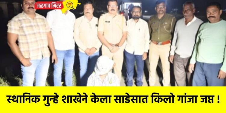 स्थानिक गुन्हे शाखेने केला साडेसात किलो गांजा जप्त !