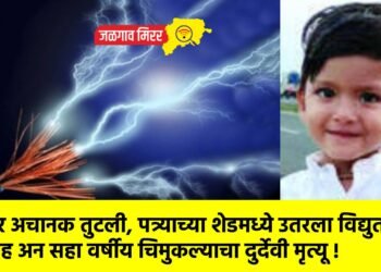 वायर अचानक तुटली, पत्र्याच्या शेडमध्ये उतरला विद्युत प्रवाह अन सहा वर्षीय चिमुकल्याचा दुर्देवी मृत्यू !